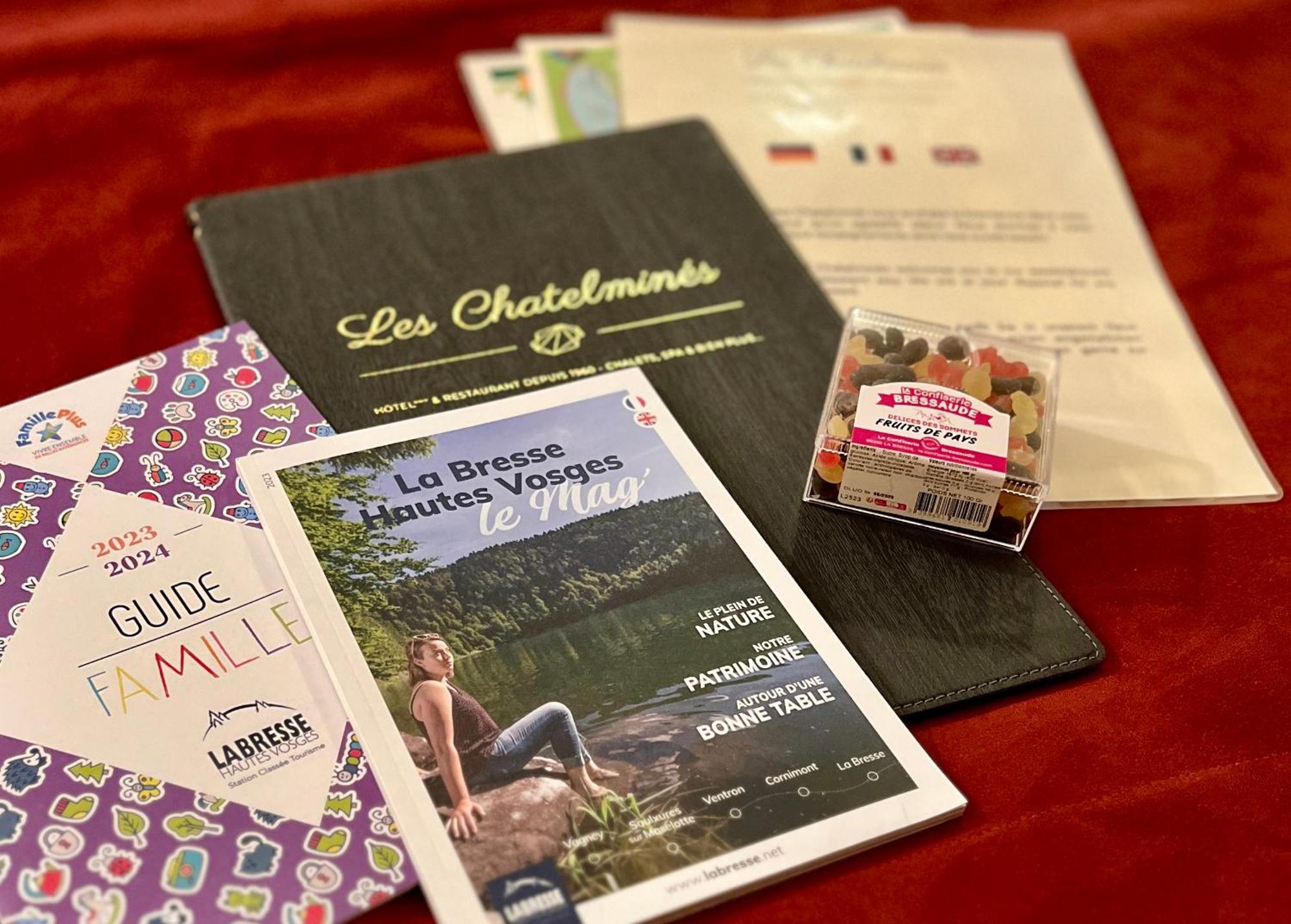 Logis Hotel, Chalets Et Restaurant Les Chatelmines La Bresse Eksteriør bilde