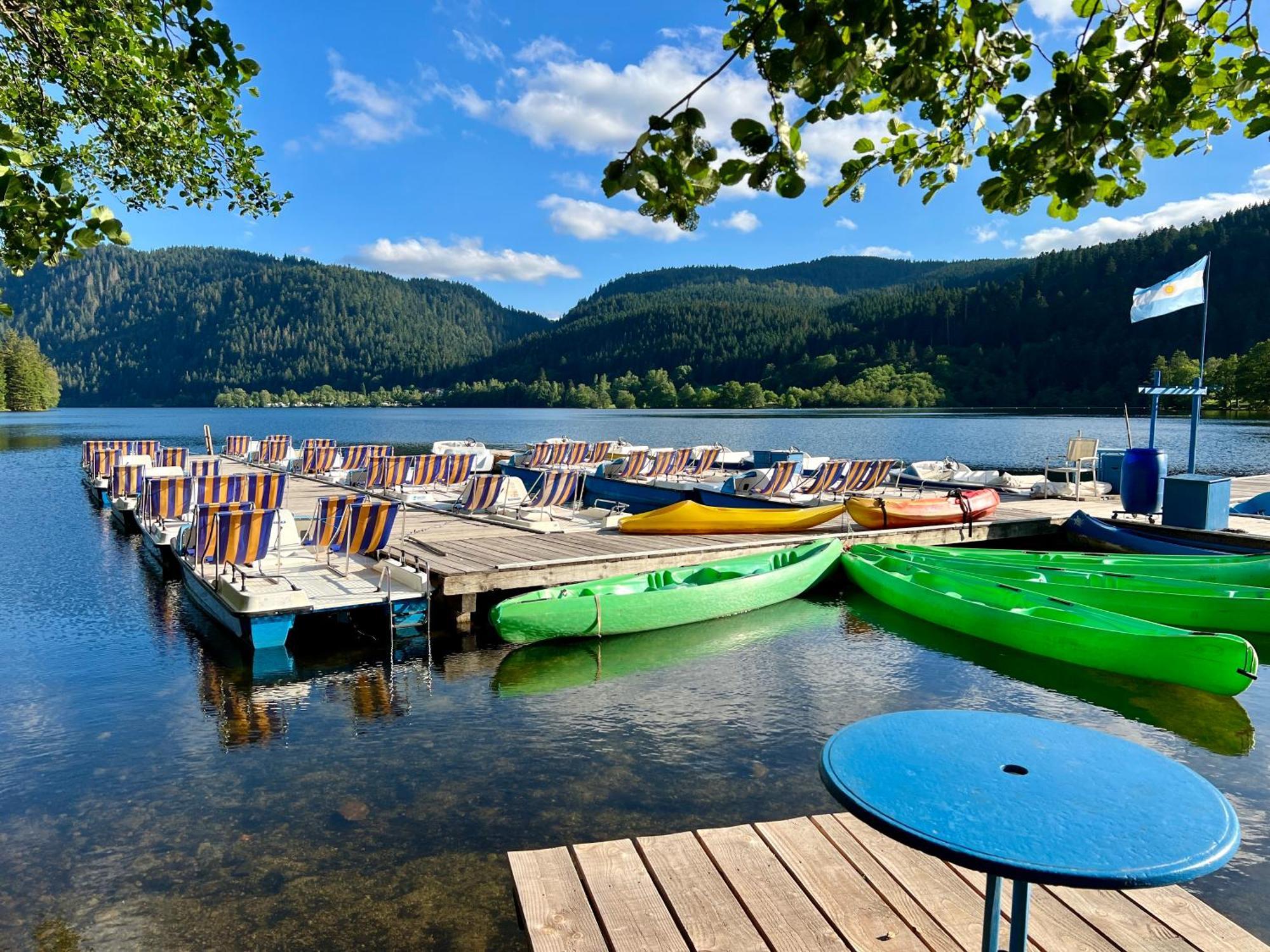 Logis Hotel, Chalets Et Restaurant Les Chatelmines La Bresse Eksteriør bilde