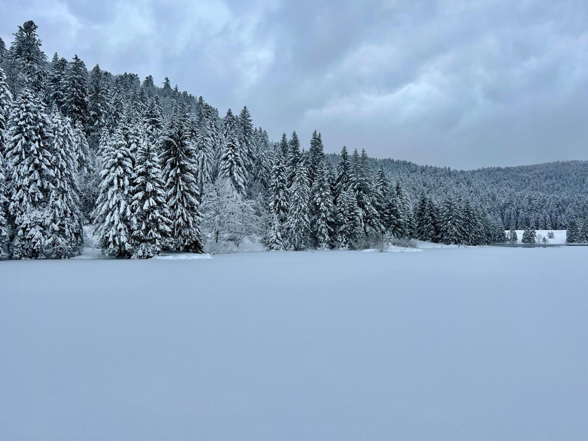 Logis Hotel, Chalets Et Restaurant Les Chatelmines La Bresse Eksteriør bilde