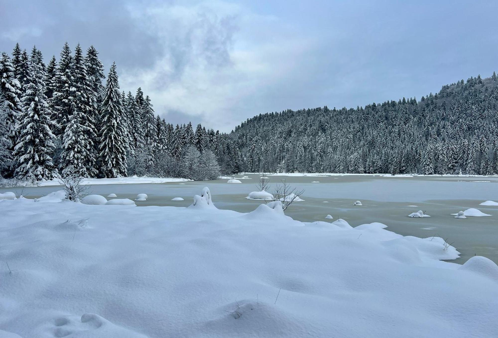 Logis Hotel, Chalets Et Restaurant Les Chatelmines La Bresse Eksteriør bilde